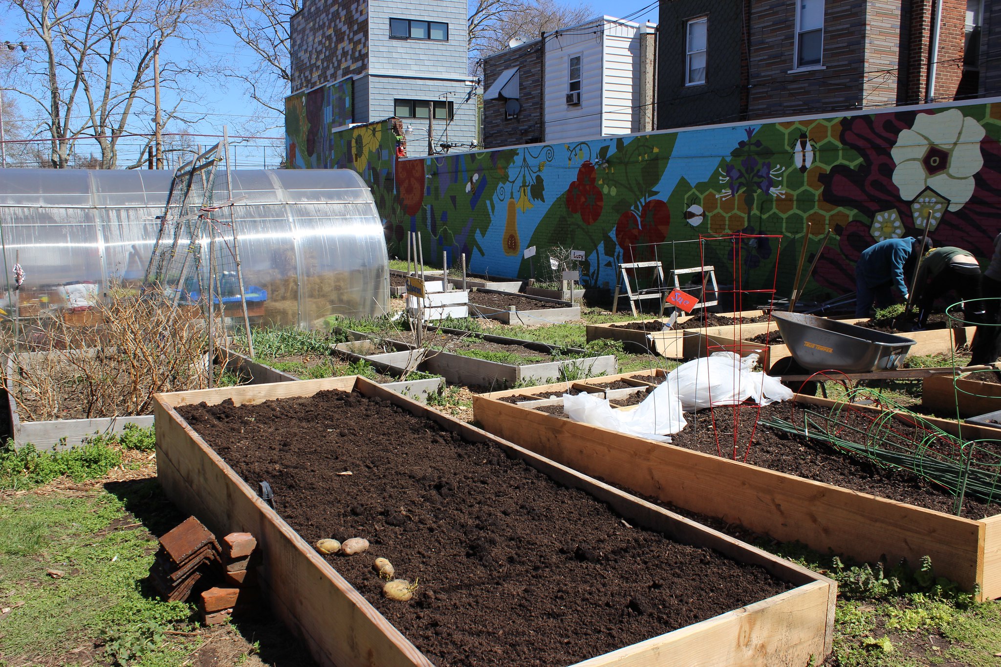 community garden beds