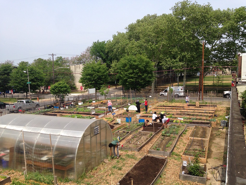 Community gardens and greenhouse