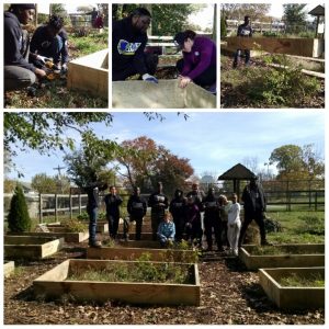 Farm Philly and PowerCorps build raised beds