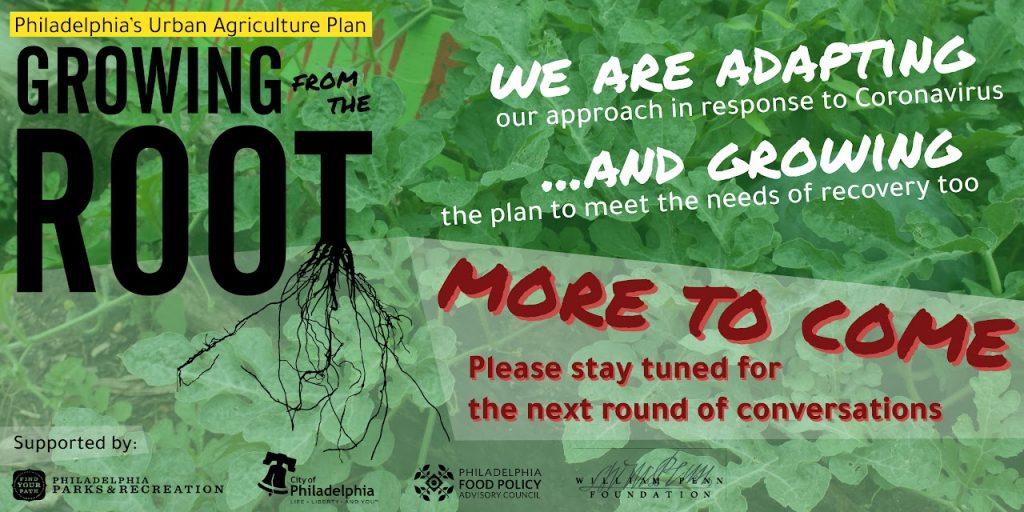 growing From Tje Root Covid Planning