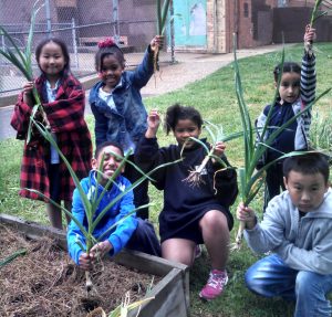 Junior Farmers participants holding up garlic