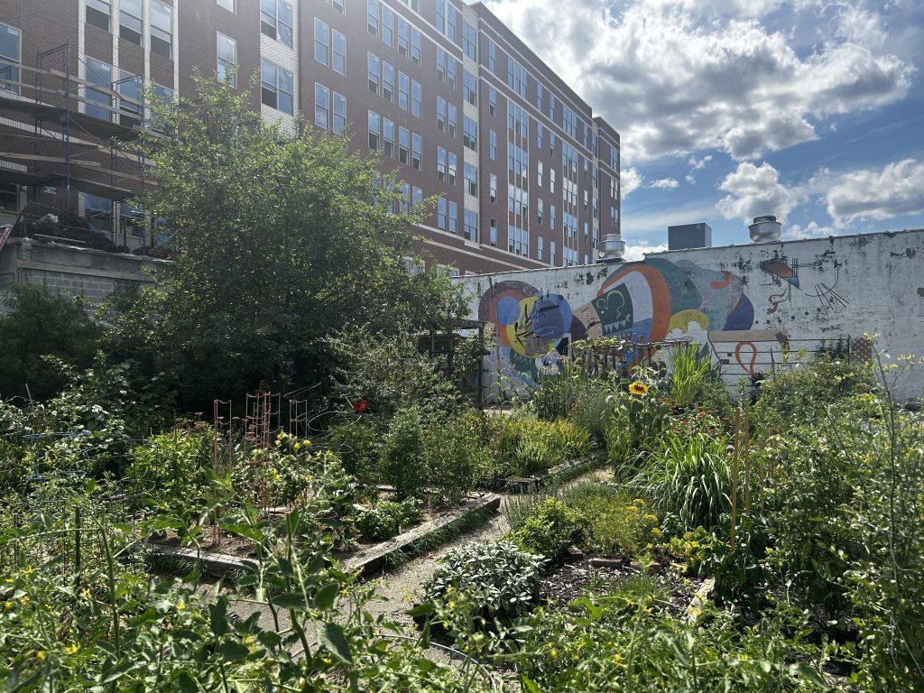 Garden Court Community Garden