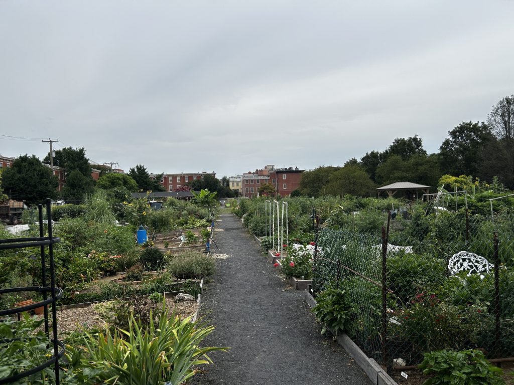 The Spring Gardens