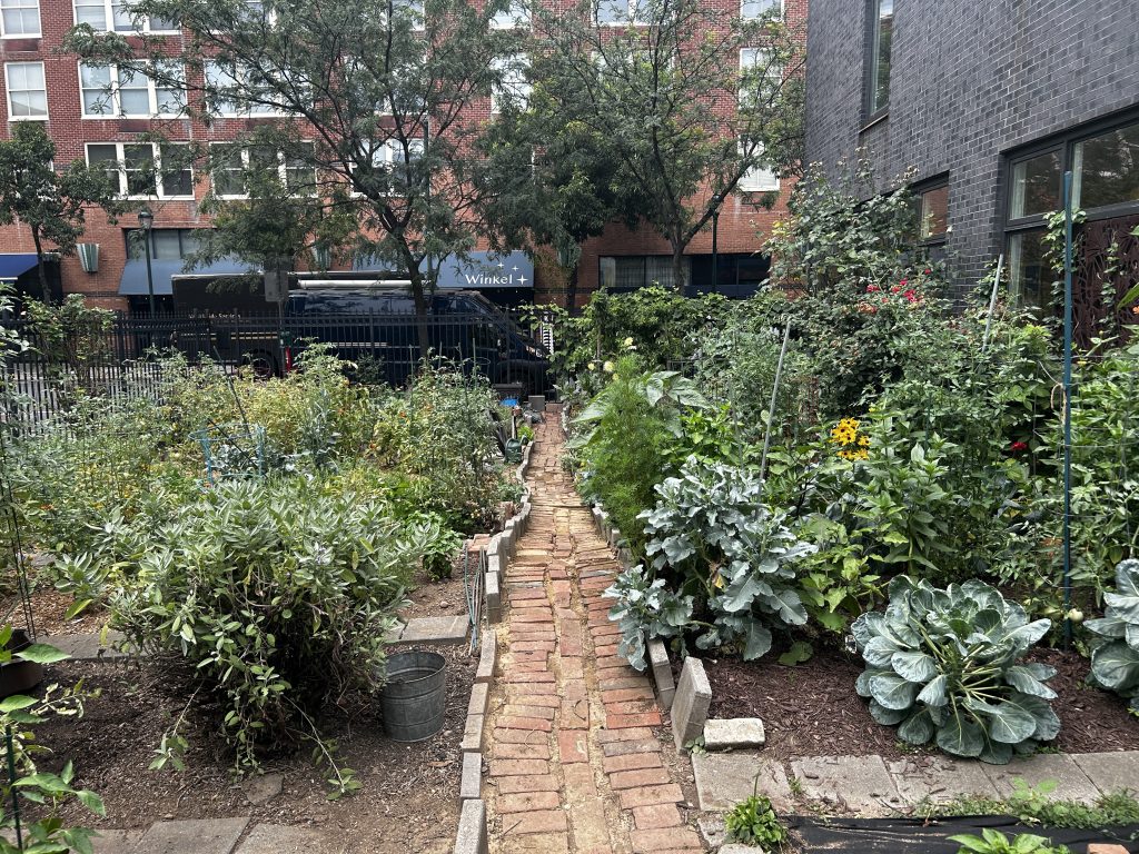 Sartain Street Community Garden
