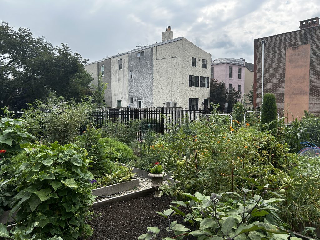Waverly Street Community Garden