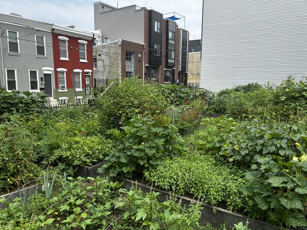 Growing Home Community Garden
