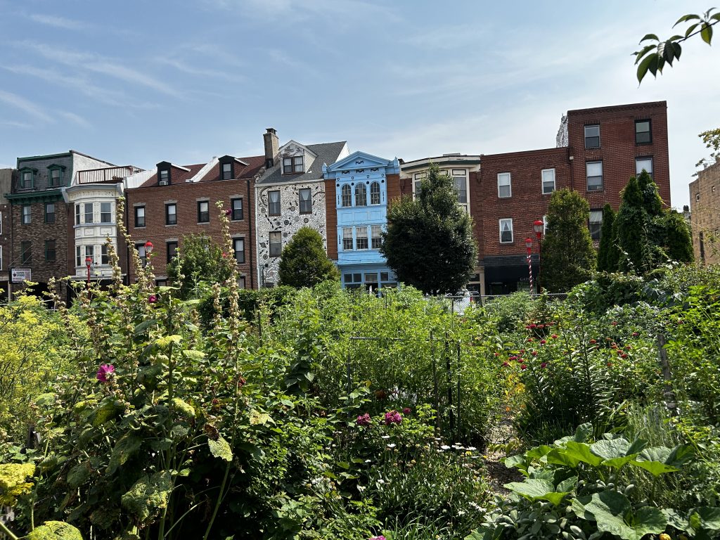 South Street Community Garden