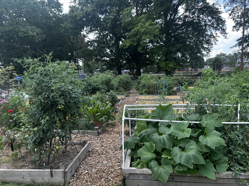 Pleasant Playground Community Garden