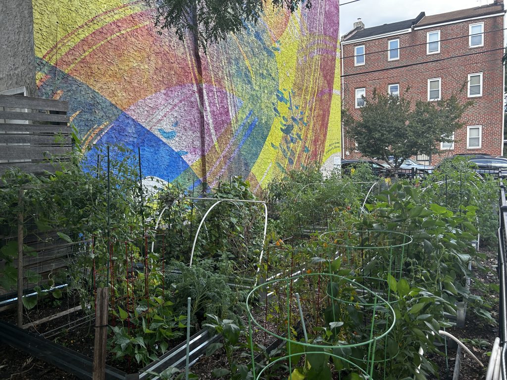 Manton Street Community Garden