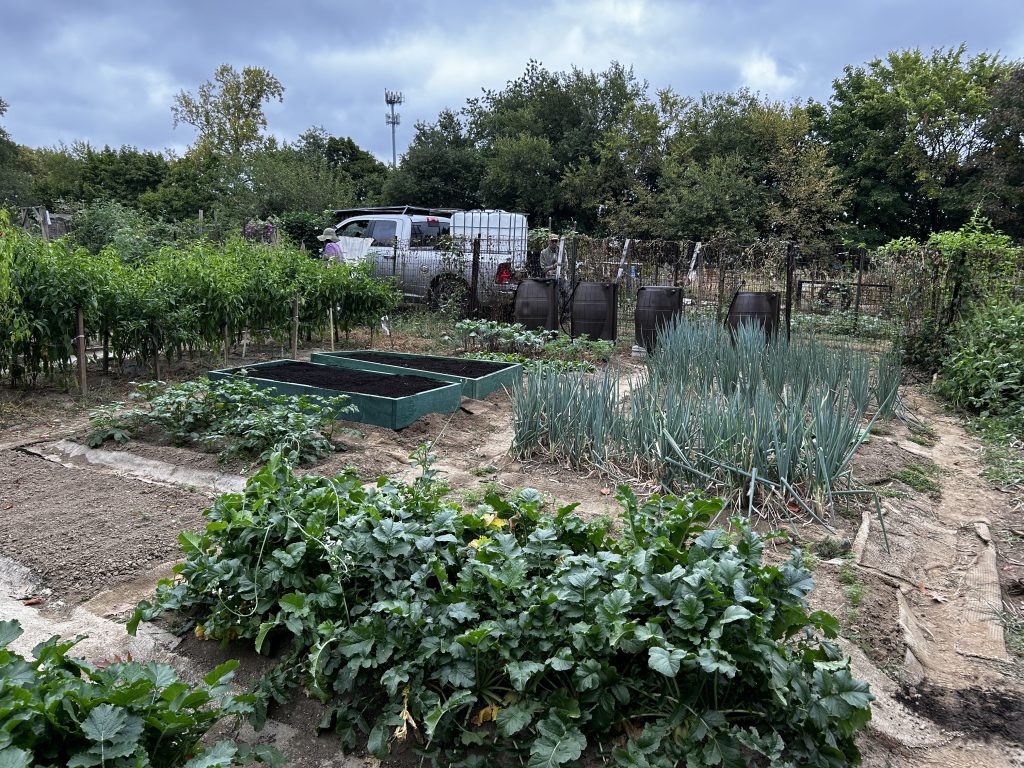 Cobbs Creek Community Garden