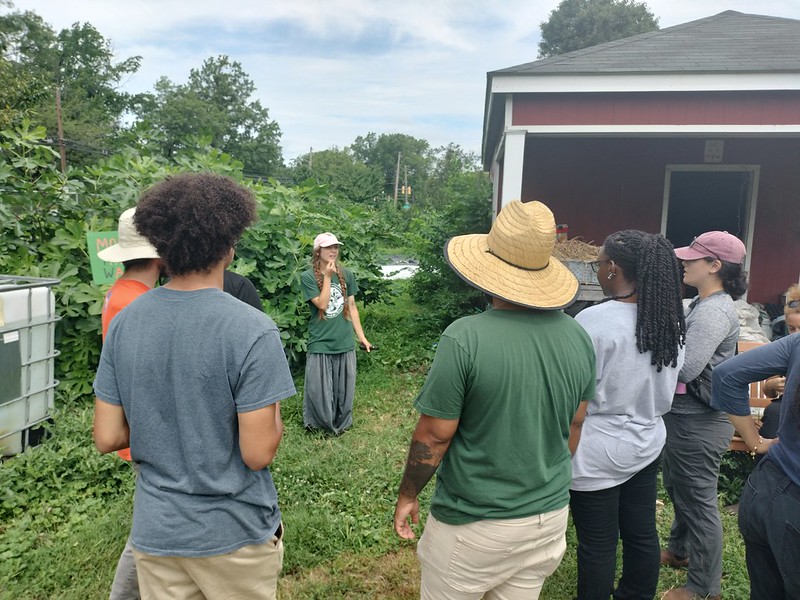 Nice Roots Farm Interns