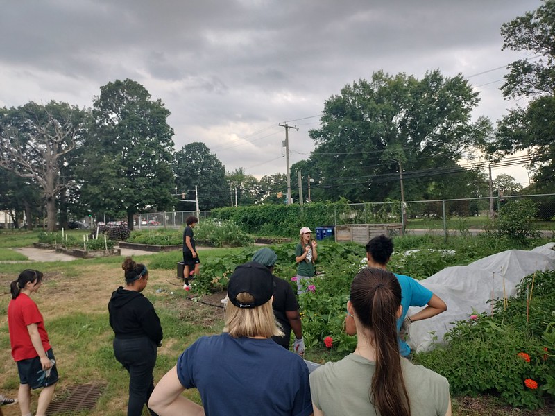 Farm Volunteers