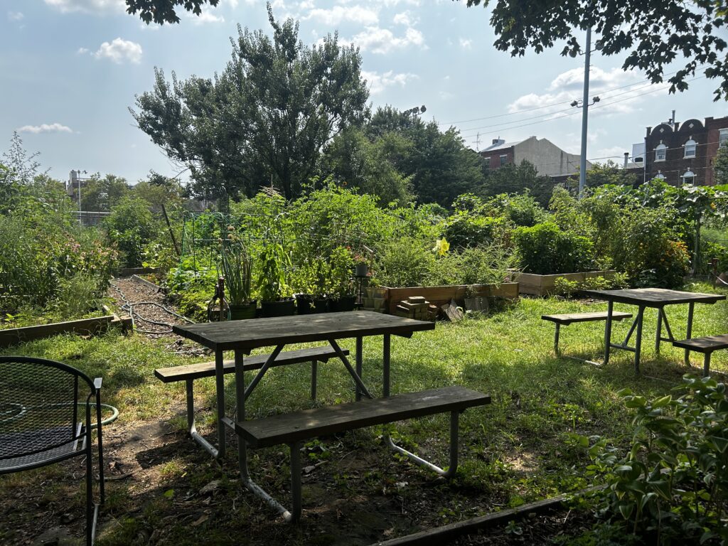 Picnic tables in front of raised beds in a community garden.